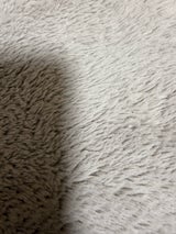 富士通商 大きな粒のブルーベリー 200g