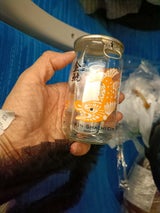 金鯱 しゃちカップ 180ml