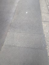 Pitacco 小 クリア 3P