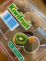 巨摩野 キーウィフルーツ