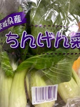 諸川 チンゲン菜 1P