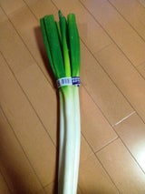 JA庄内 長ねぎねぎらい