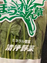 東京インキ ほうれん草用袋