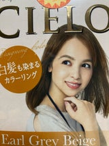 シエロ デザイニングカラー EA-BE 1個