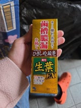 小林製薬 生葉EXa 100g