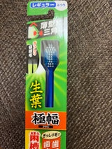 小林製薬 生葉極幅ブラシ レギュラー ふつう 1本
