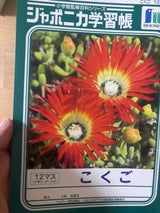 学習帳 国語12マスリ-ダ-入     JL-9