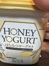 ホリ乳業 はちみつヨーグルト 380g