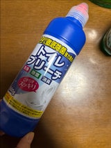 SUNSTYLE トイレブリーチ 500g