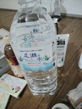 ニチネン 尾瀬のおいしい水 ペット 2L
