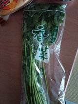 全農千葉 パクチー 1P