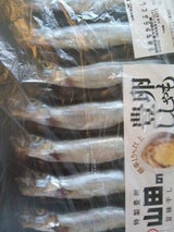 山田 シシャモL 8P