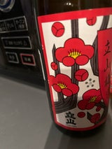 立山 梅酒 720ml