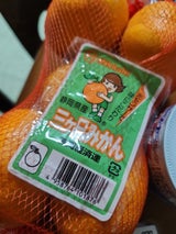 名織 三ケ日みかん