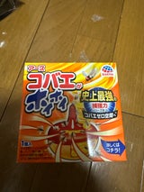 アース コバエがホイホイ 1個