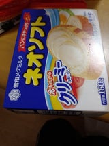 雪印メグミルク ネオソフト 箱 160g