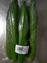 ベル春日井 きゅうり