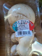 芳源 マッシュルーム 1P