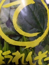 栃開協 ほうれん草