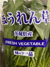 シモジマ ほうれんそう 1P