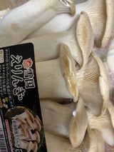 雪国まいたけ 生エリンギ 500g