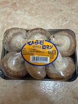 平戸市 生しいたけ 100g