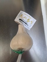 ショウナン ミネラルにんにく M