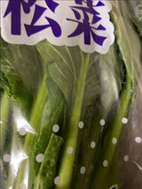 東神 こまつな用袋 1P