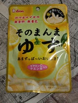 ライオン菓子 そのまんまゆず 23g