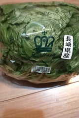 吉村美術包装 クリアーレタス