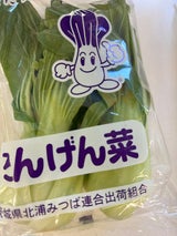 北浦 チンゲン菜 2P