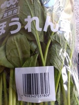 JA千葉 ほうれんそう