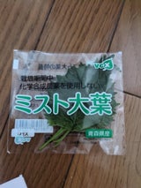 ヴォークス 農薬を使わない健康大葉 5g