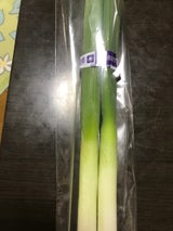 JA山形おきたま 長葱