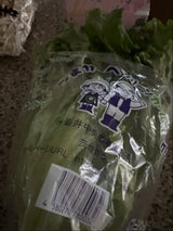 岩井中央 グリーンカール 1P