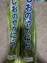 JAしおのや 氏家にら 100g