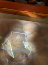 ブランカ シルベーヌ ミニ プレーン 10個