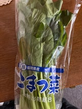 丸善 小松菜 大 200g