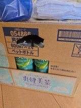 コカコーラ 爽健美茶 600ml×24