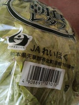 JA熊本 レタス1玉