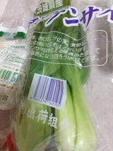 井坂 チンゲン菜 1P