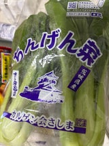 カルゲン会 青梗菜