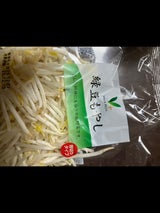 ミヤジ Vマーク 緑豆もやし 200g