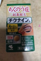 チクナインb 56錠