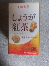 日東 しょうが紅茶 2.2g×20