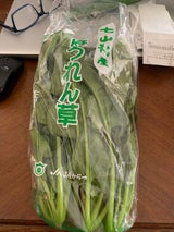 JA松浦 ほうれんそう 200g