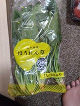 JA宇都宮 ほうれん草 250g
