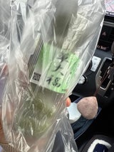 木内 チョット大きめ草大福 5個