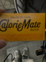 カロリーメイト ブロックチーズ味 2本入 40g