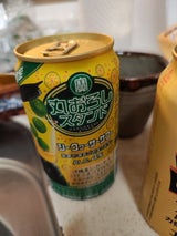 宝 丸おろしスタンド シークサワー 350ml